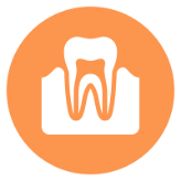 Odontoiatria conservativa  ed endodonzia